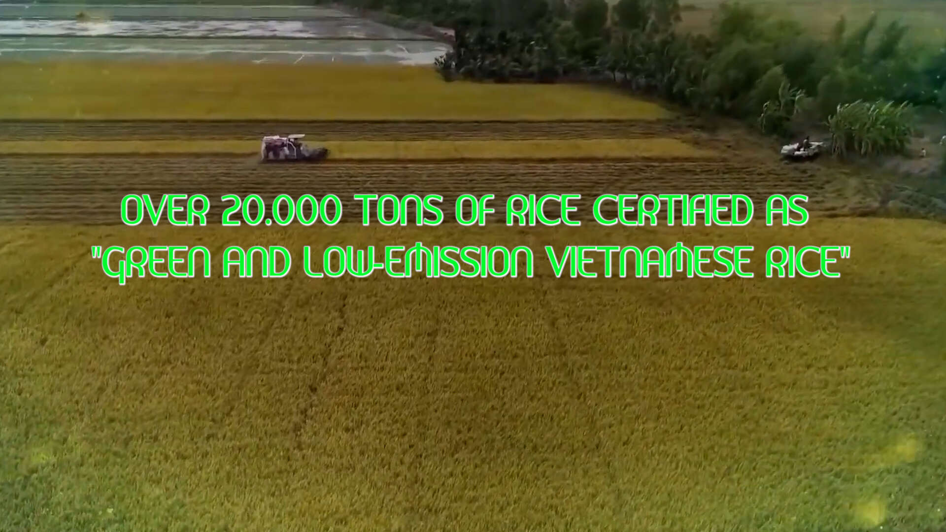 Over 20.000 tons of rice certified as 
